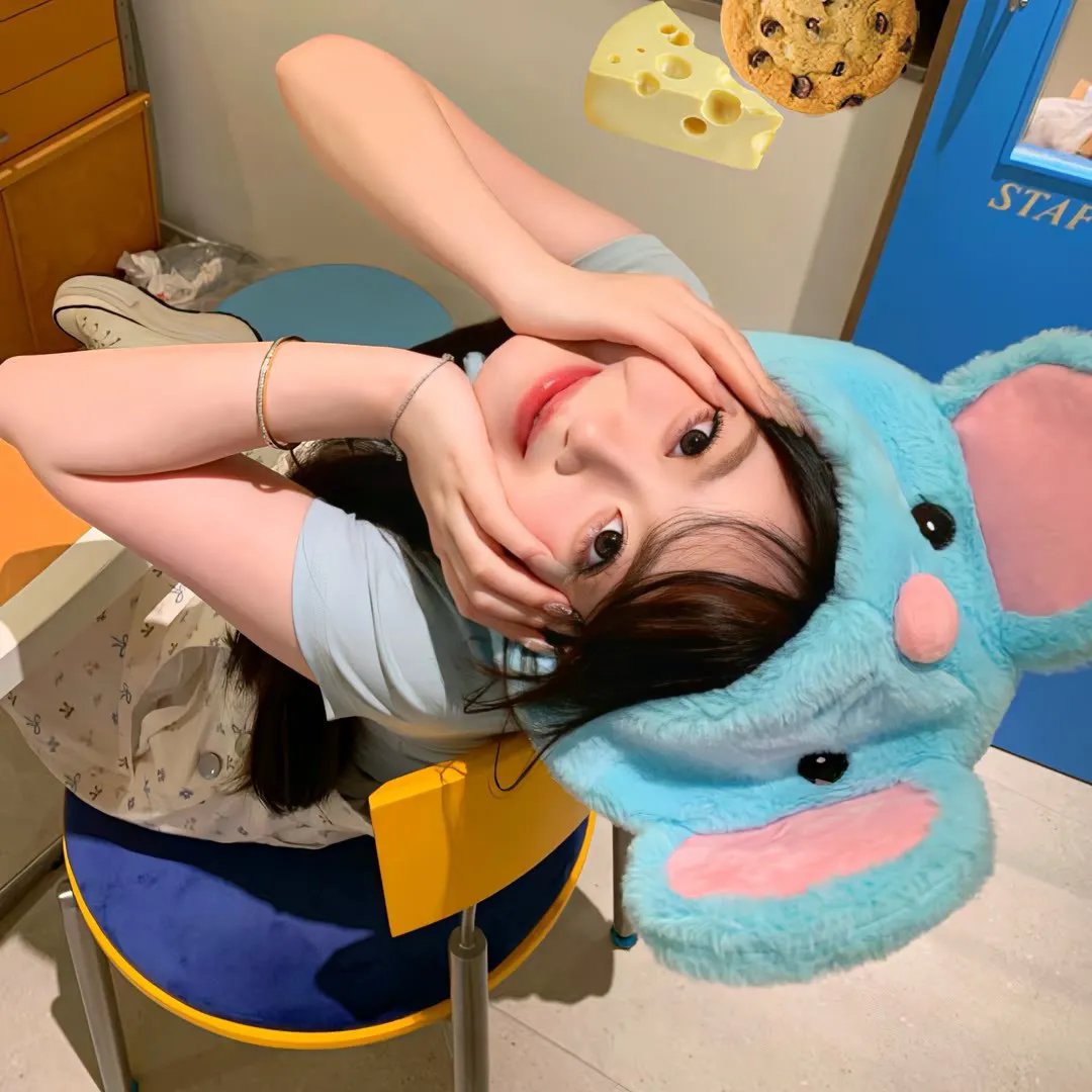 狗爷猫妈 在线观看封面